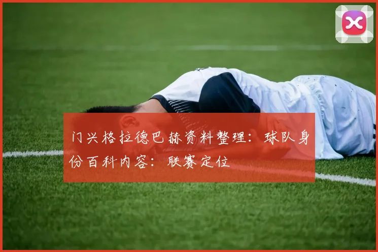 门兴格拉德巴赫资料整理:球队身份百科内容:联赛定位