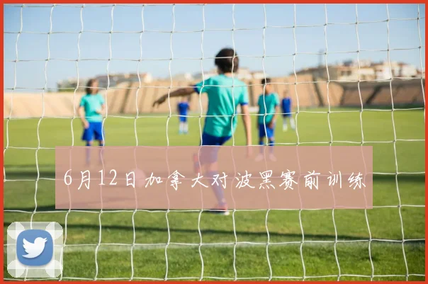 6月12日加拿大对波黑赛前训练